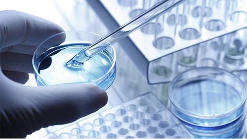 龍池牡丹 緊抓二產(chǎn)，深挖科研，以技術(shù)服務(wù)驅(qū)動(dòng)牡丹精品駛?cè)胧袌鏊{(lán)海